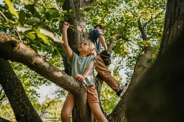 Platzhalterfoto: Garten mit Spielhaus und Kaninchen